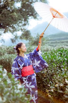 风流女管家